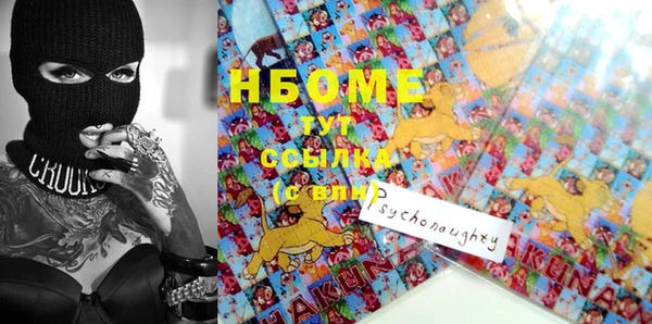 ГАЛЛЮЦИНОГЕННЫЕ ГРИБЫ Рославль